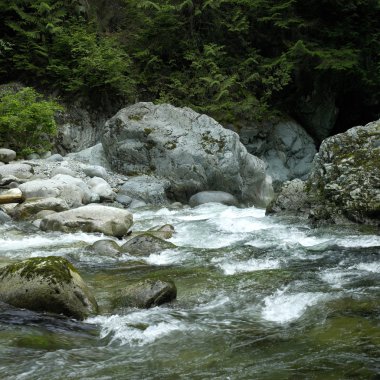 Akarsu suyu