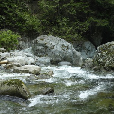 Akarsu suyu