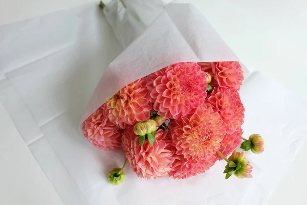 Bouquet dari dahlia karang — Stok Foto