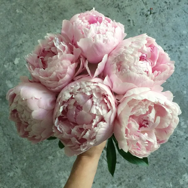 Bouquet of peonies