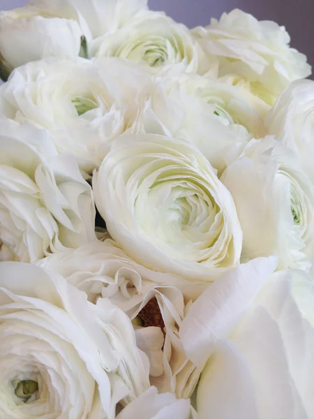 Bouquet de ranunculus — Photo