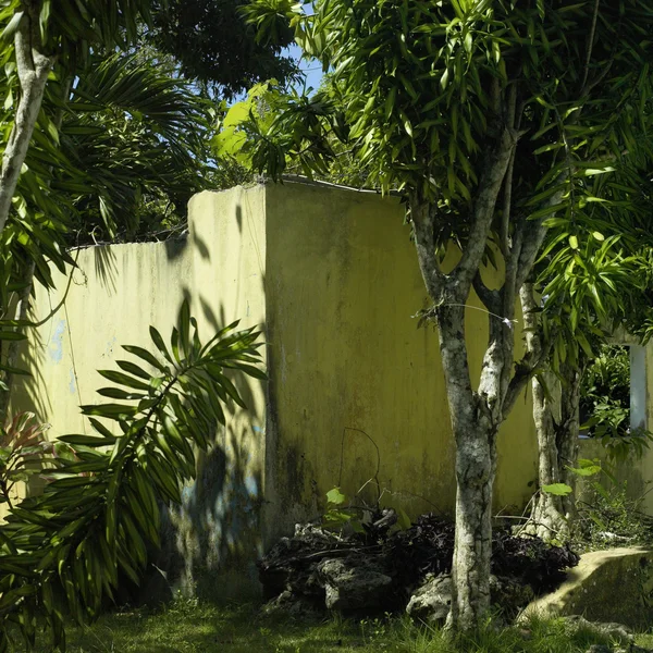 Parede de concreto amarelo velho — Fotografia de Stock