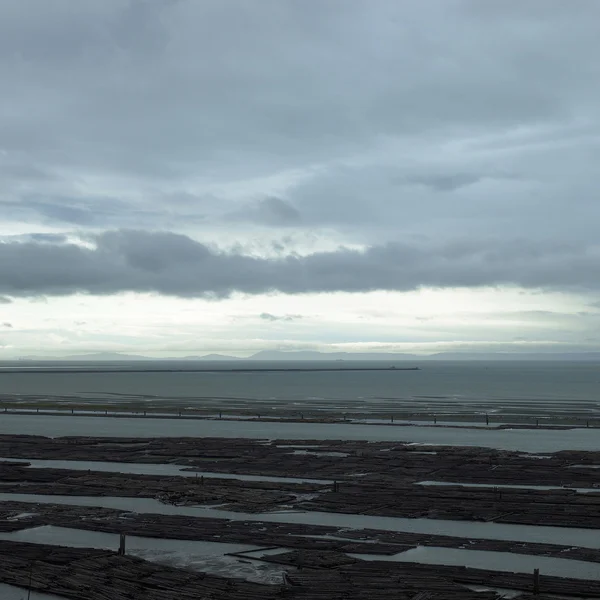 汹涌的大海天空 — 图库照片