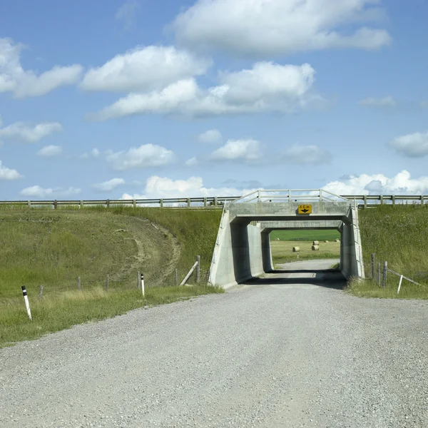 Tunnel rural — Photo