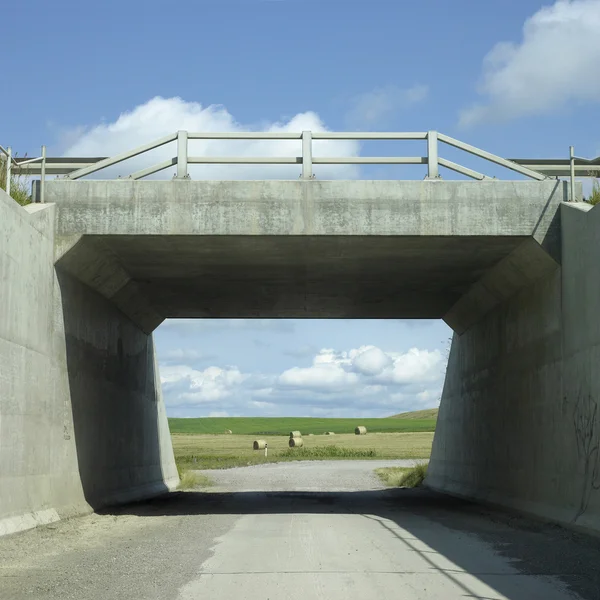 Сельский туннель — стоковое фото