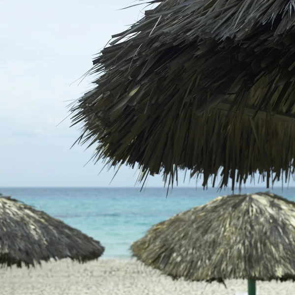 Palapas am Strand — Stockfoto