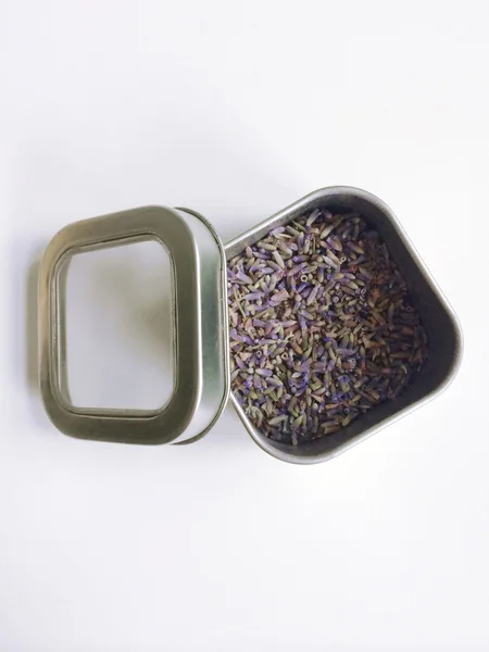 Lavender buds — Stock Photo, Image