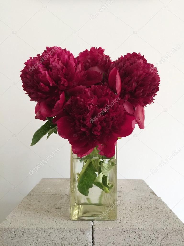 Bouquet of red peonies
