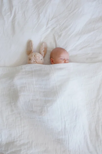 Bambino addormentato e coniglietto — Foto Stock