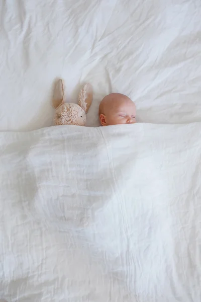 眠っている赤ちゃんとウサギ ロイヤリティフリーのストック画像
