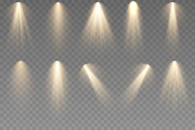 spot ışığı vektör ışığı