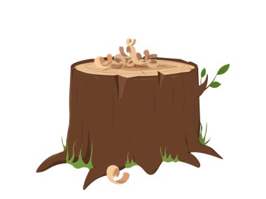 Ahşap gövde vektörü