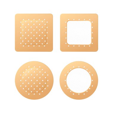 Alçı seti. Vektör