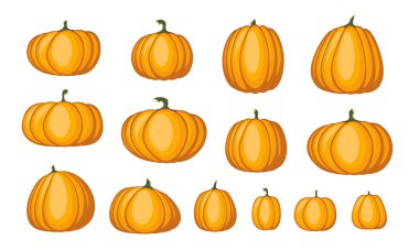 Sonbahar kabakları vektörü