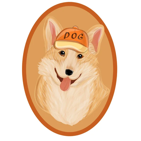 Corgi dog print —  Vetores de Stock