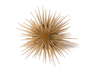 Deniz kirpileri vektörü