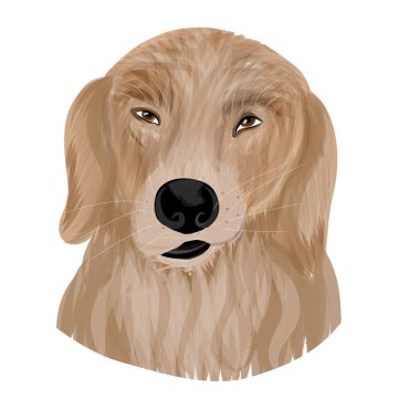 Köpek portresi vektörü