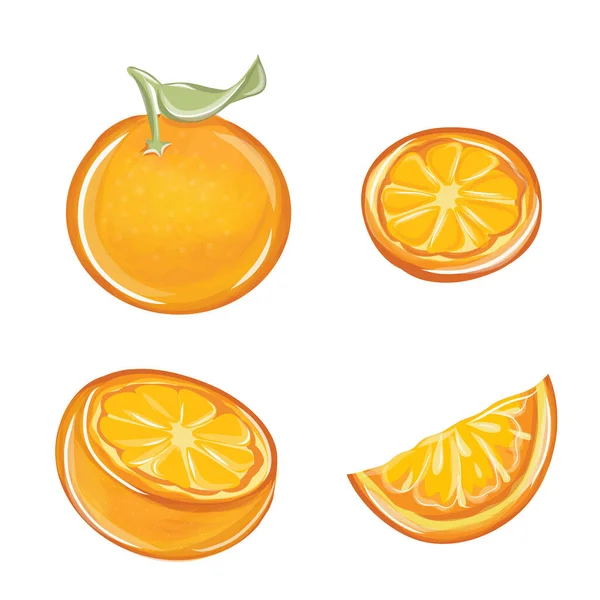 Orangener Vektorsatz — Stockvektor