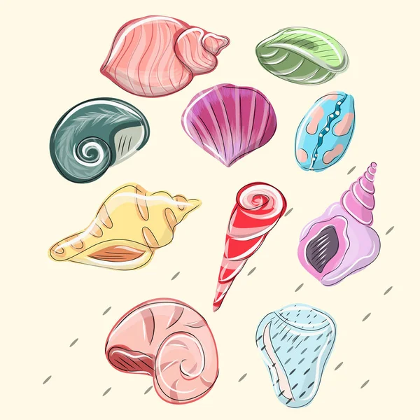 Σύνολο διανύσματος Seashells — Διανυσματικό Αρχείο
