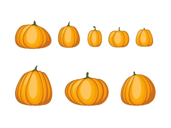 Autumn pumpkins vector — Stock Vector