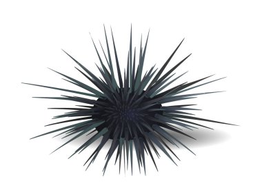 Deniz kirpileri vektörü