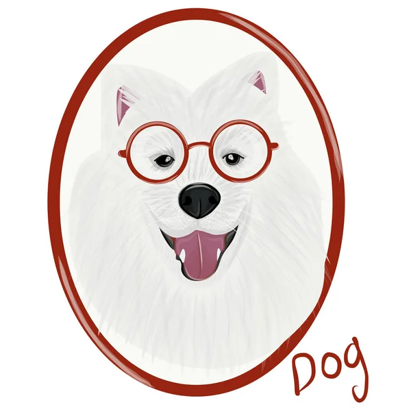 Portrait de chien Samoyed — Image vectorielle