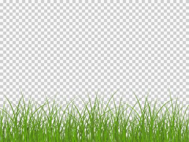 Gerçekçi ot vektörü