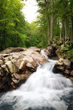 Dağ deresindeki kayaların üzerinden akan su bir ormanın içinden akıyor. Suyun hareketini bulanıklaştırmak için yavaş deklanşör hızı