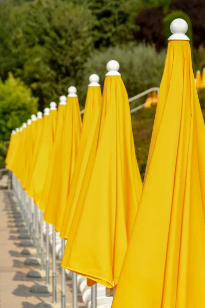 Rangée Parasols Dans Une Piscine Hôtel — Photo