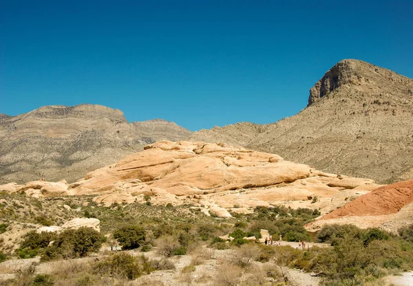Reserva Nacional Paisaje Del Cañón Red Rock Las Afueras Las — Foto de Stock