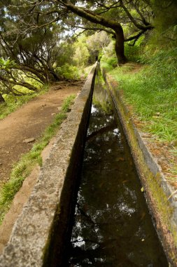 Madeira, Portekiz - Eylül 2017: Dağlardaki levada yürüyüşlerinden birinde dar bir kesimdeki turistler. Levadalar adanın diğer tarafına tatlı su taşıyan sulama kanallarıdır.
