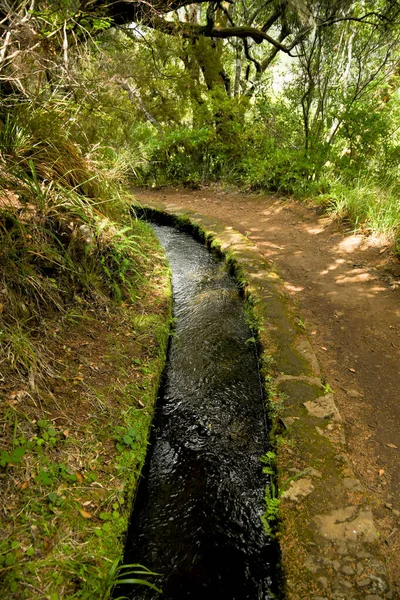 Typical Levada Walk Madeira Footpath Running Alongside Water Channel Levadas — Stock Photo, Image