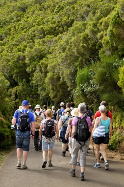 Madeira, Portekiz - Eylül 2017: Bir grup turist 25 Fontes ve Risco şelalesine doğru levada yürüyüşüne çıktı