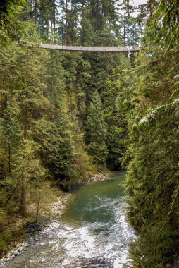 Vancouver, Kanada - Mayıs 2007: Capilano Askı Köprüsü 'nden geçenler