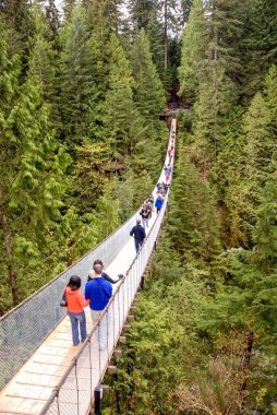 Vancouver, Kanada - Mayıs 2007: Capilano Askı Köprüsü 'nden geçenler