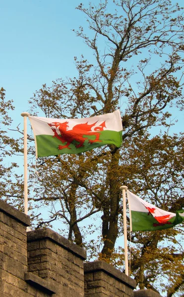 Close up view of Welsh flags flying from a wall