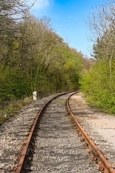 Eenbaansspoorlijn Van Een Spoorweg Door Een Plattelandsgebied Geen Mensen — Stockfoto
