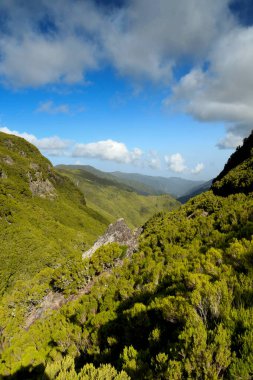 Tree covered mountains and valleys on the island of Madeira.