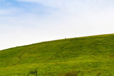 Swanage, Dorset, İngiltere - Haziran 2021: İnsanlar Swanage 'ın dışındaki kırsal kesimde dik bir tepede yürüyorlar.
