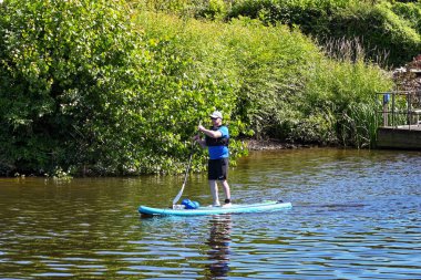 Chester, Cheshire, İngiltere - Temmuz 2021: Chester Nehri 'nden geçen Dee Nehri' nde kürek çeken kişi.