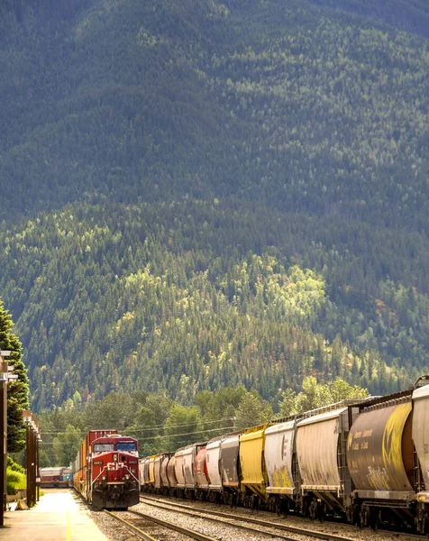 Revelstoke British Columbia Canada Juni 2018 Goederentrein Nadert Stad Passeert — Stockfoto