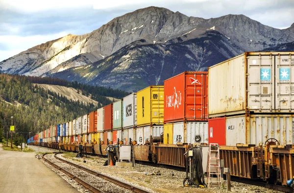 Jasper Alberta Canda June 2018 Shipping Containers Freight Train Rockies — Stock Photo, Image