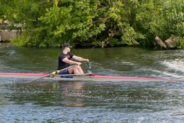 Henley-on-Thames, Oxfordshire, İngiltere - 21 Temmuz 2025: Thames 'deki Henley Nehri' nde kürek çeken kişi