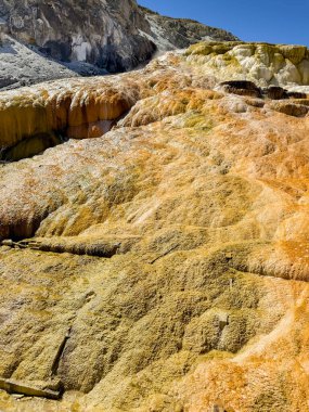 Yellowstone Ulusal Parkı 'ndaki Mammoth Kaplıcaları' ndaki Travertine Teraslarındaki renkli maden yataklarının manzarası. Kimse yok..