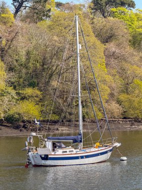 Dartmouth, Devon, İngiltere, İngiltere - 24 Nisan 2025: Devon 'daki Dart Nehri' ne demir atmış yat.