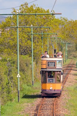 Seaton, Devon, İngiltere - 25 Nisan 2025: Seaton Tramvayı 'nın kırsal kesiminden geçen klasik elektrikli tramvay