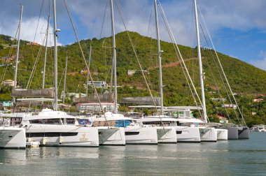 Tortola, Britanya Virjin Adaları - 18 Ocak 2026: Karayip adası Tortola 'daki Road Town' da limanda demirlemiş lüks katamaran yatları.