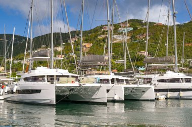 Tortola, Britanya Virjin Adaları - 18 Ocak 2026: Karayip adası Tortola 'daki Road Town' da limanda demirlemiş lüks katamaran yatları.