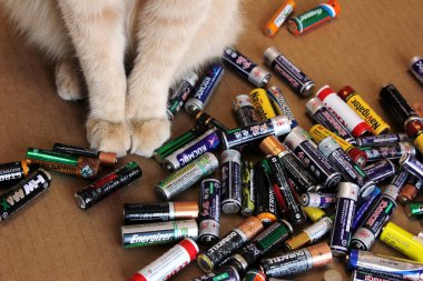 Vladivostok, Russia - 5 November, 2020: A red cat is sitting next to a pile of old used batteries from different brands. Part of a red cat . Front paws of a cat. Concept of ecology and recycling. clipart