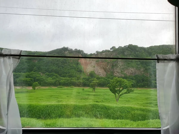 View from the train window. Summer landscape through the glass window of the train.